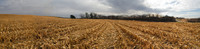 October Corn MN
