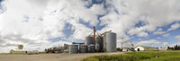 Feed Mills. MN