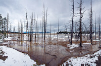 Paint Pot, Yellowstone