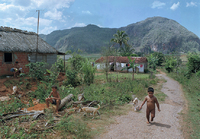 Cuba Children in Road