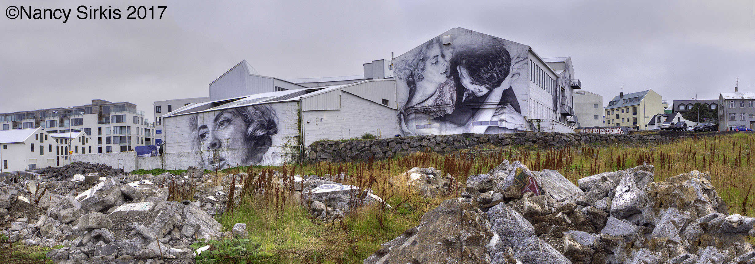 Reykjavik Two Murals