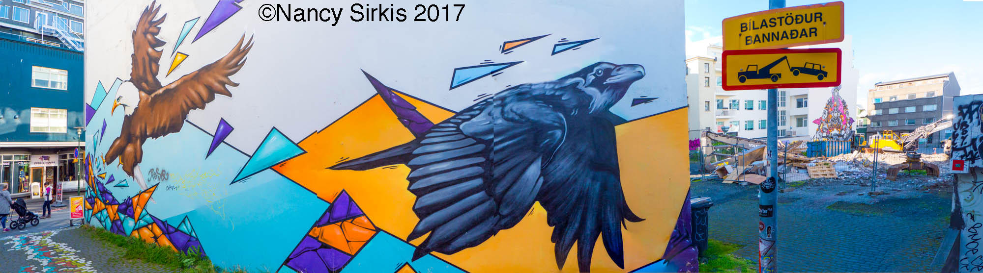 Reykjavik Crow Mural Panorama
