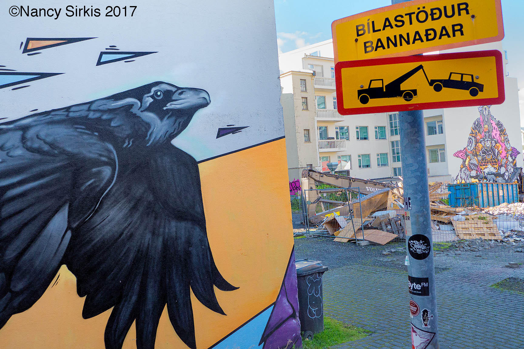 Reykjavik Crow
