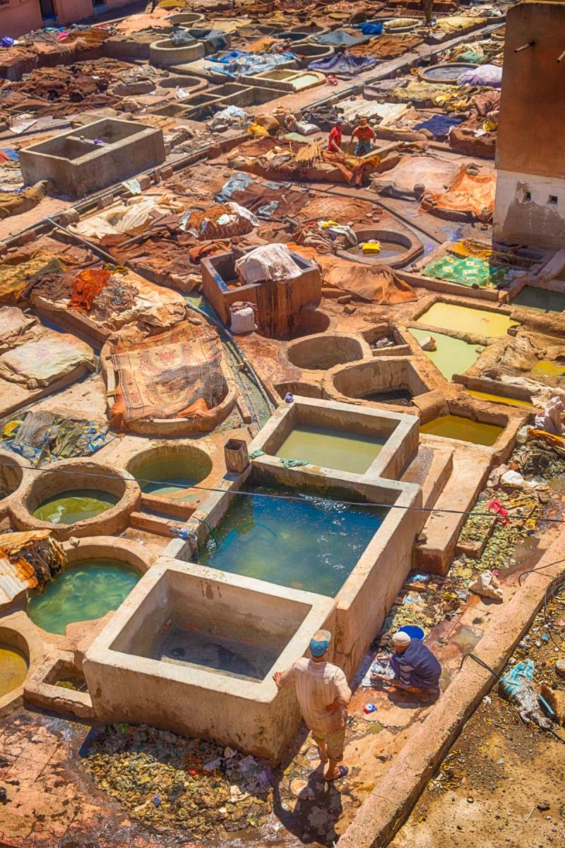 Tannery Overview